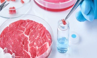 Лабораторный анализ пищевых продуктов по СанПиН в Мирном в октябре