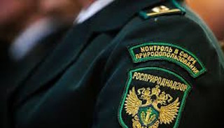 Подготовка к проверке Росприроднадзора в Мирном от ПромМир-Мир, стоимость услуги от 20218 руб.